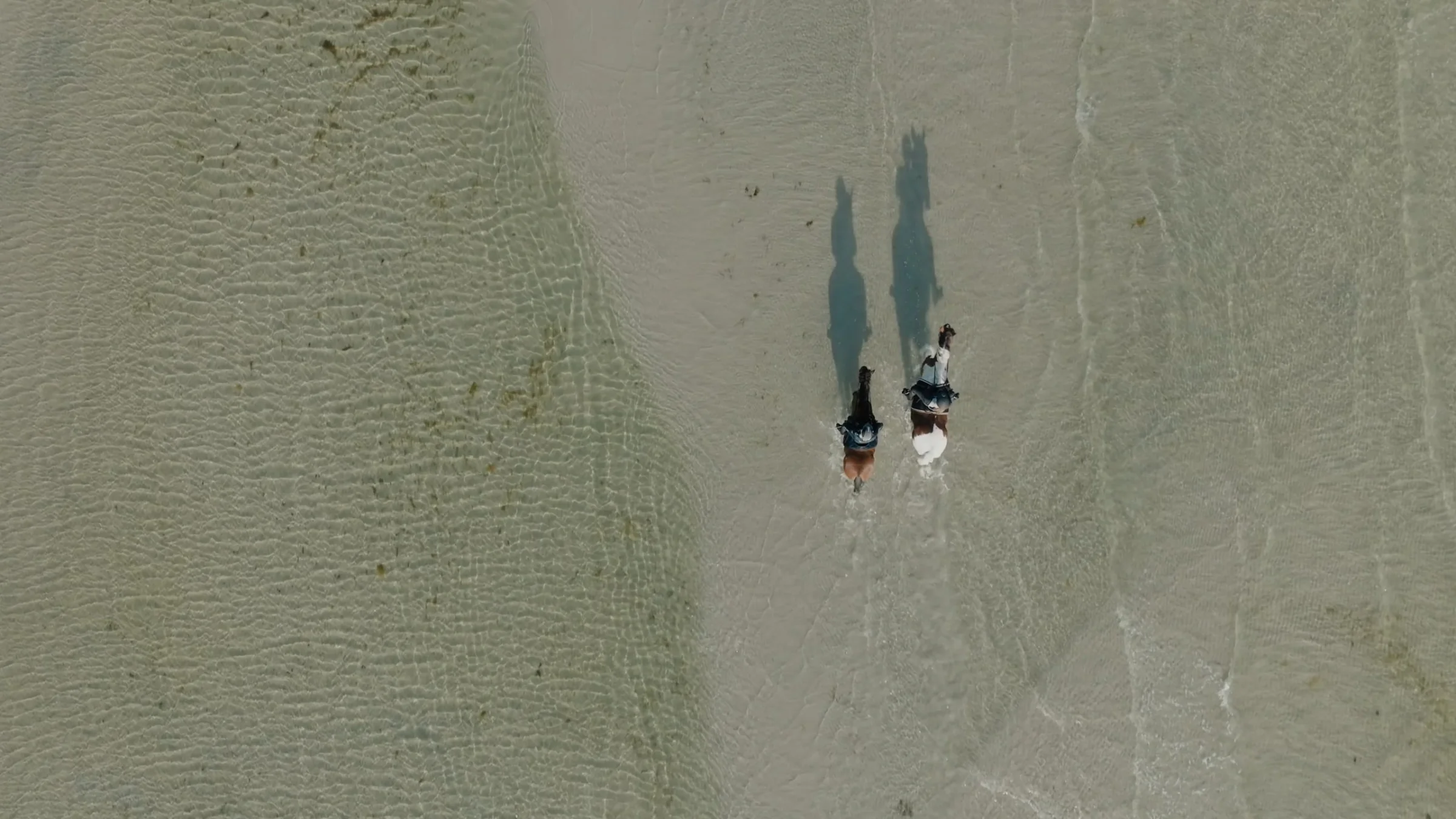 Reiterhof Boltenhagen