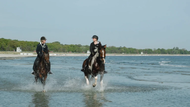 Reiterhof Boltenhagen 20Sek